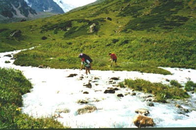 11p.jpg (37170 bytes)