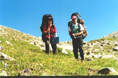 14p.jpg (37488 bytes)