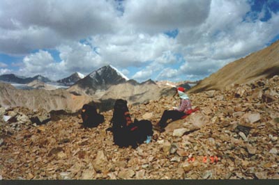 15p.jpg (32487 bytes)