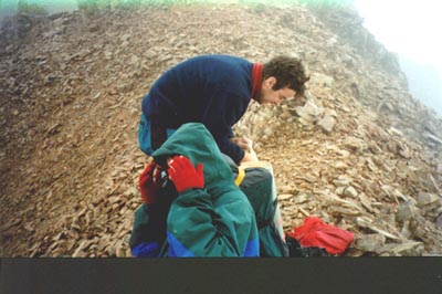 21p.jpg (32349 bytes)