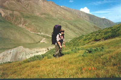 27p.jpg (30086 bytes)