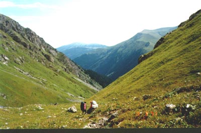 29p.jpg (29739 bytes)