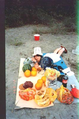 48p.jpg (30077 bytes)