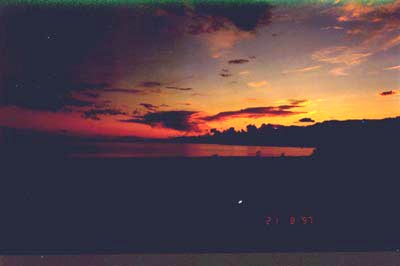 49p.jpg (12211 bytes)