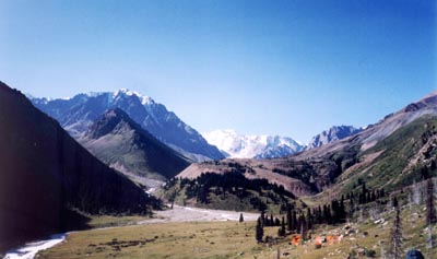 sp_th.JPG (22130 bytes)