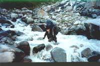 th13p.JPG (13008 bytes)