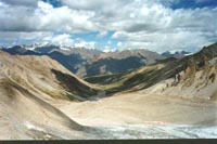 th33p.JPG (12356 bytes)