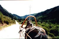 th42p.JPG (13243 bytes)