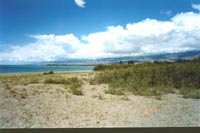 th50p.JPG (10244 bytes)