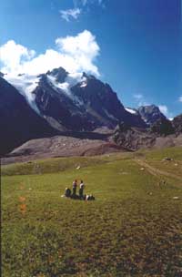 th5p.JPG (12667 bytes)